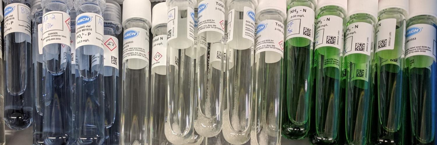 Test Tubes in Lab