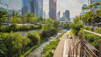 Urban Renewal Project in South Korea